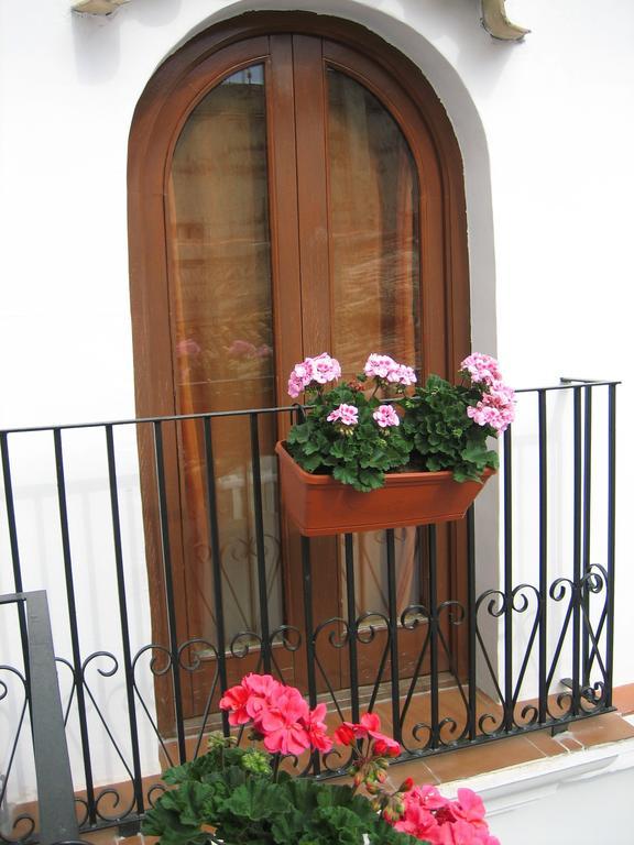 Pension Oliva Exteriér fotografie
